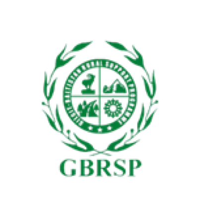 Logo 6